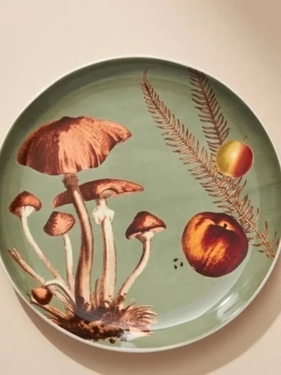 Anthropologie Other - NWT Set/4  Anthropologie Nature Studies Fungi Dessert Salad Plates